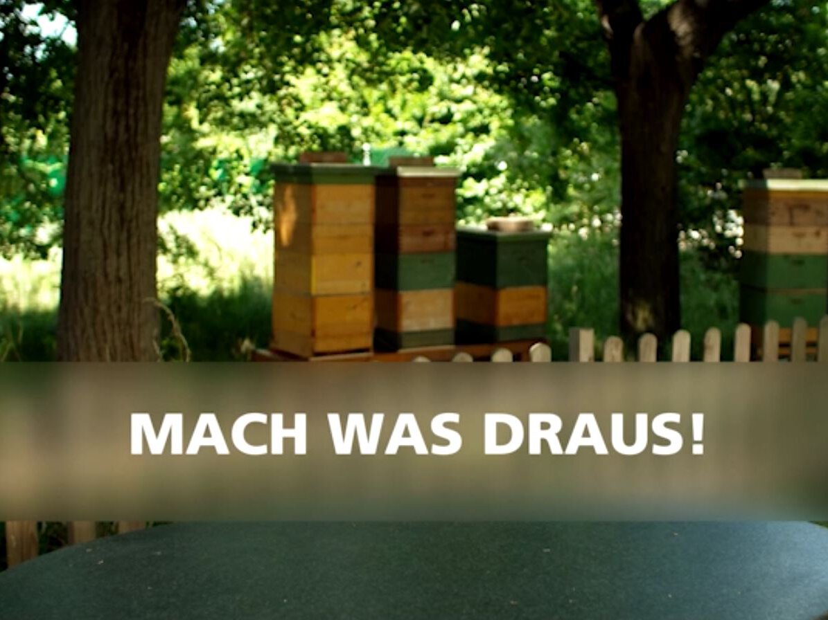 Coverbild zum Lernvideo „Recycling Dialog: Mach was draus”.